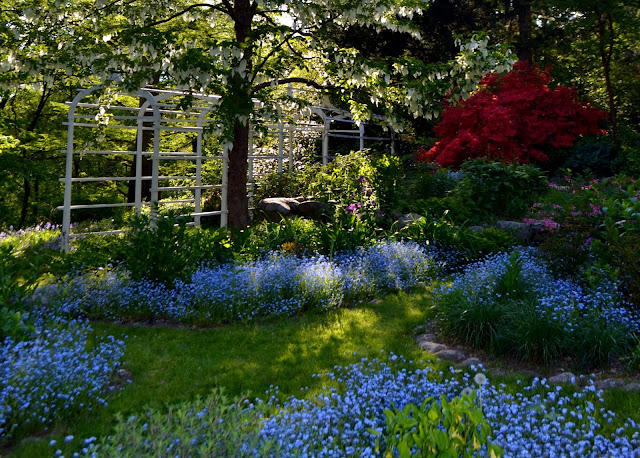 Colourful Gardens