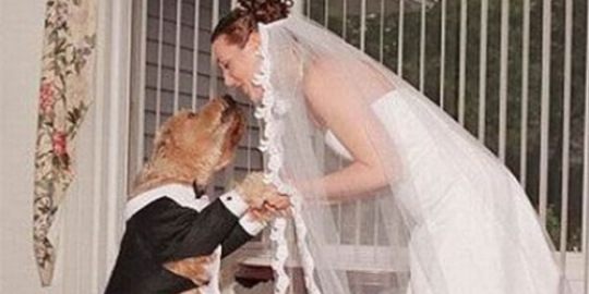 Wanita Menikah Dengan Anjing
