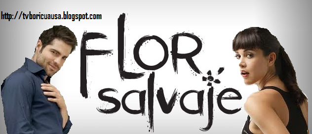 http://4.bp.blogspot.com/-fVNz-ST05GM/TeSPBvCAdoI/AAAAAAAACLU/_Ui7liaJqco/s640/Flor+Salvaje+Banner.png