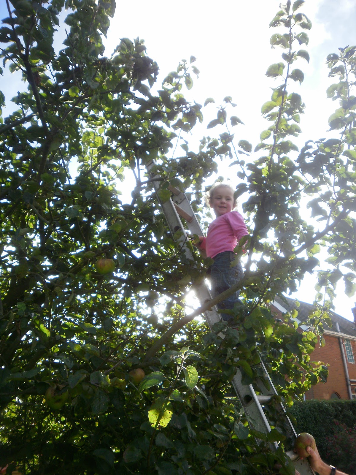 Dave's Garden News