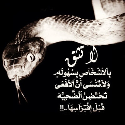 صور عن الكره