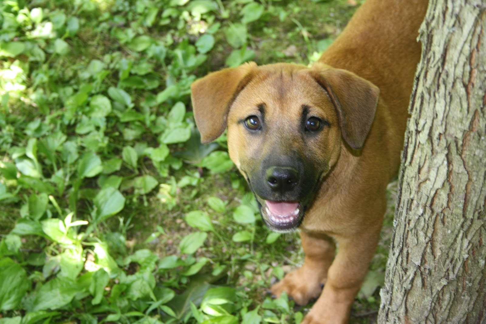 Feathered Quill Book Reviews Interview with Kim Kavin author of