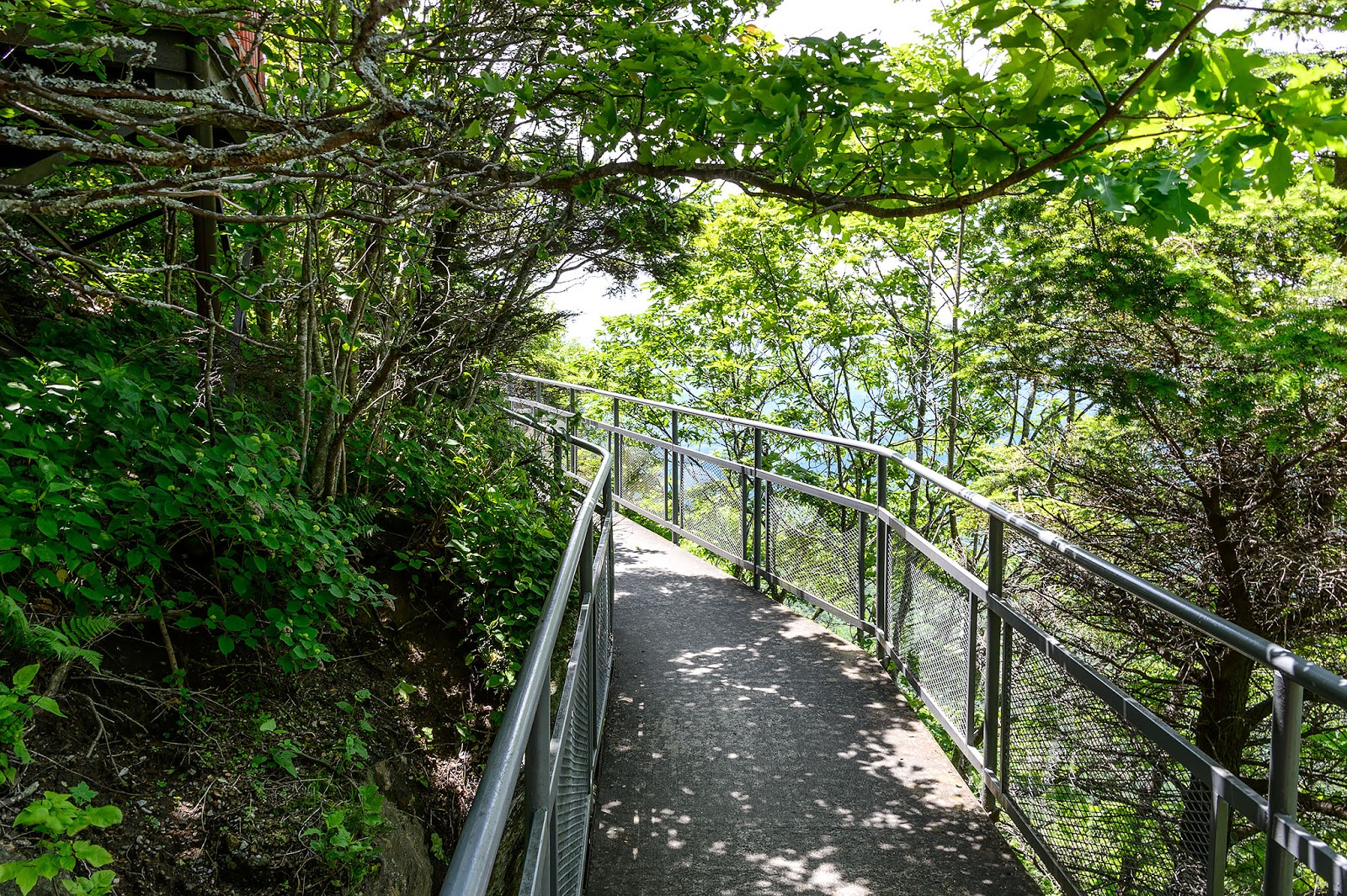 Bubba's Garage Have You Been to the Blowing Rock?