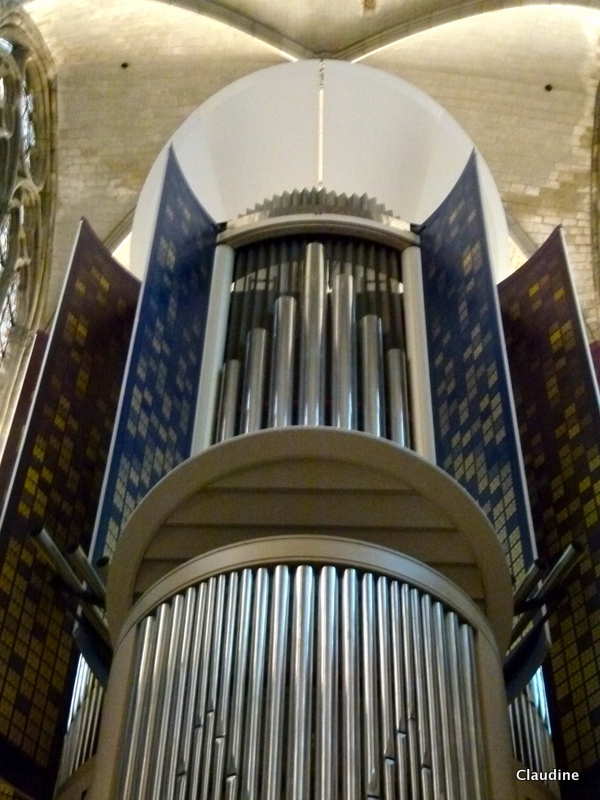P1350147.jpg