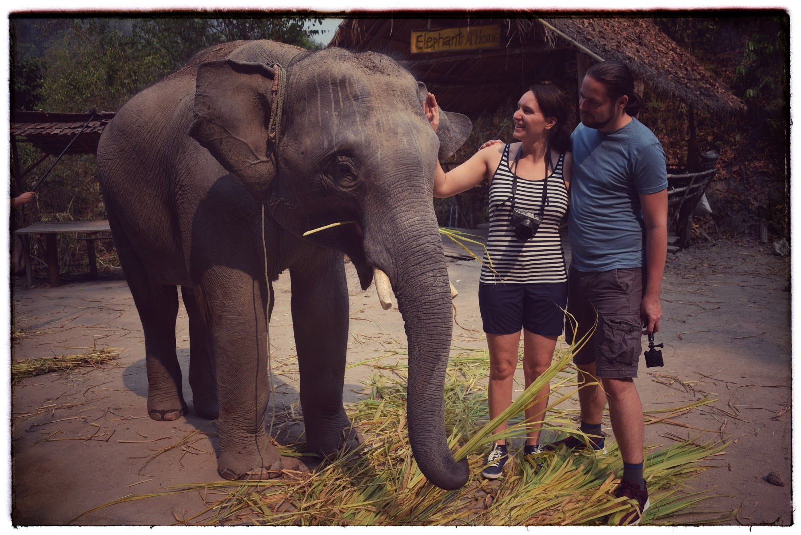 Elephants at home Ein Tag mit Elefanten Jana und Jens rocken die Welt