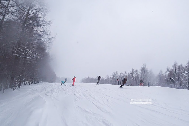 Grandeco Snow Resort,福島滑雪場,裏磐梯滑雪,豬苗代滑雪場,初學者適合的滑雪場