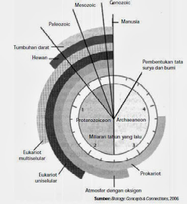 Analogi jam geologi dengan beberapa kejadian penting dalam sejarah bumi Analogi jam geologi dengan beberapa kejadian penting dalam sejarah bumi