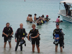 Returning  after the dive