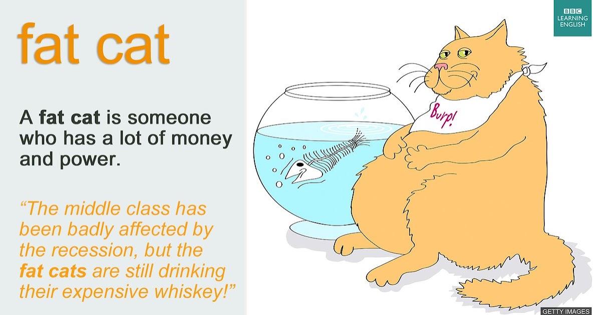 English is FUNtastic Idiom fat cat