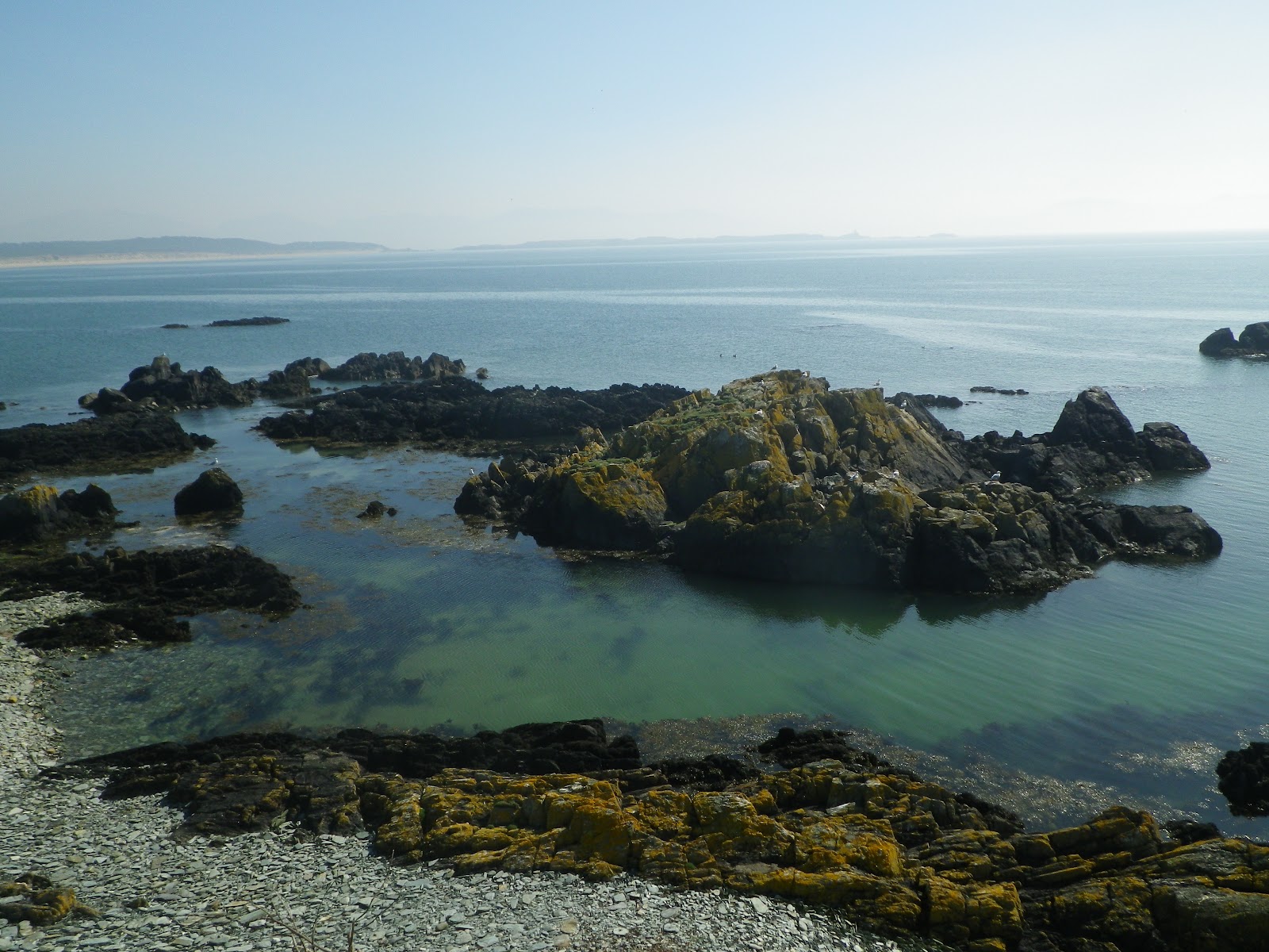 Soundoftheseagull,s Cable Bay to Llanddwyn Island and return