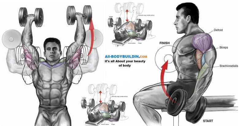 upper body workout with one dumbbell