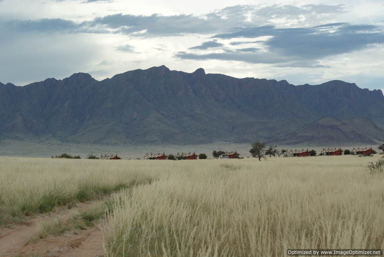Dave & Tanya's African Odyssey The desert Namibian style