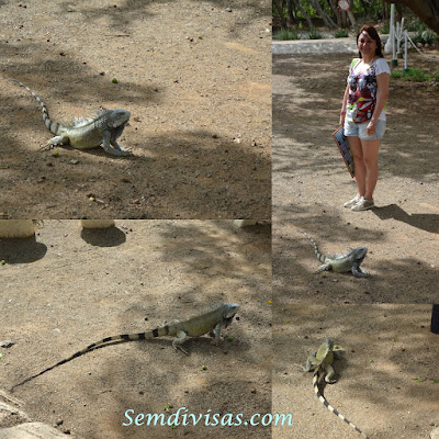 semdivisas.com -