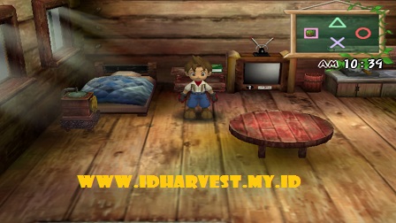 settingan keyboard pcsx2 untuk game harvest moon btn
