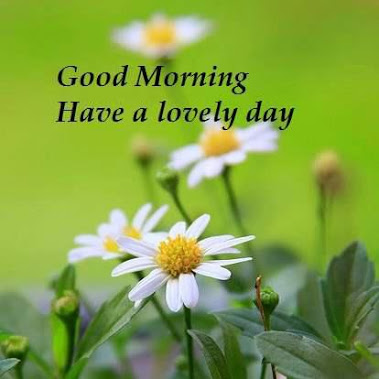 best good morning picture photos hd images quotes and wallpapers