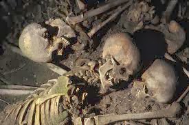 skeleton.jpeg
