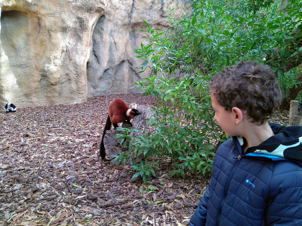 bioparc