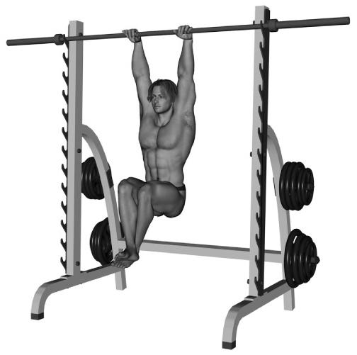 Bodybuilding Exercises