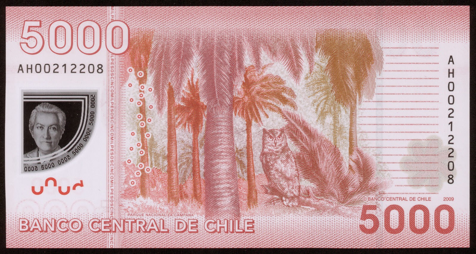 chile-5000-pesos-banknote-2009-gabriela-mistral-world-banknotes-coins
