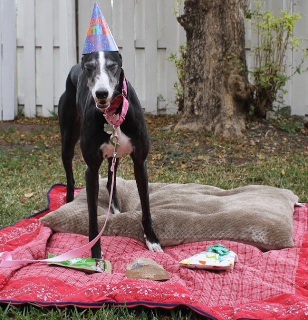 Luna celebrates her birthday