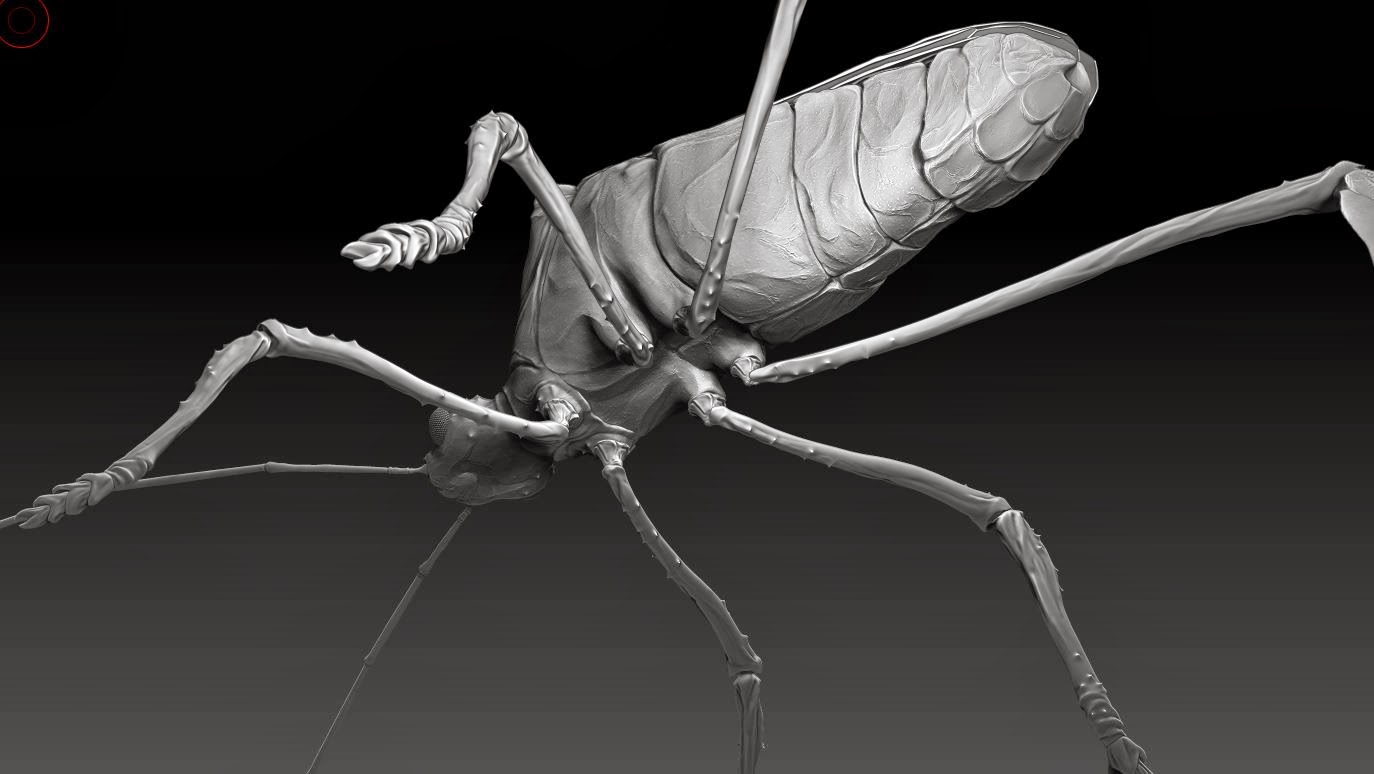 Dan Dunford: Zbrush Insect
