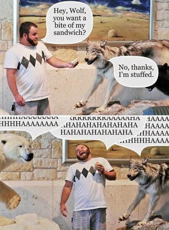 hey, wolf, you want a bite of my sandwich? no, thanks, I'm stuffed. hahahaha