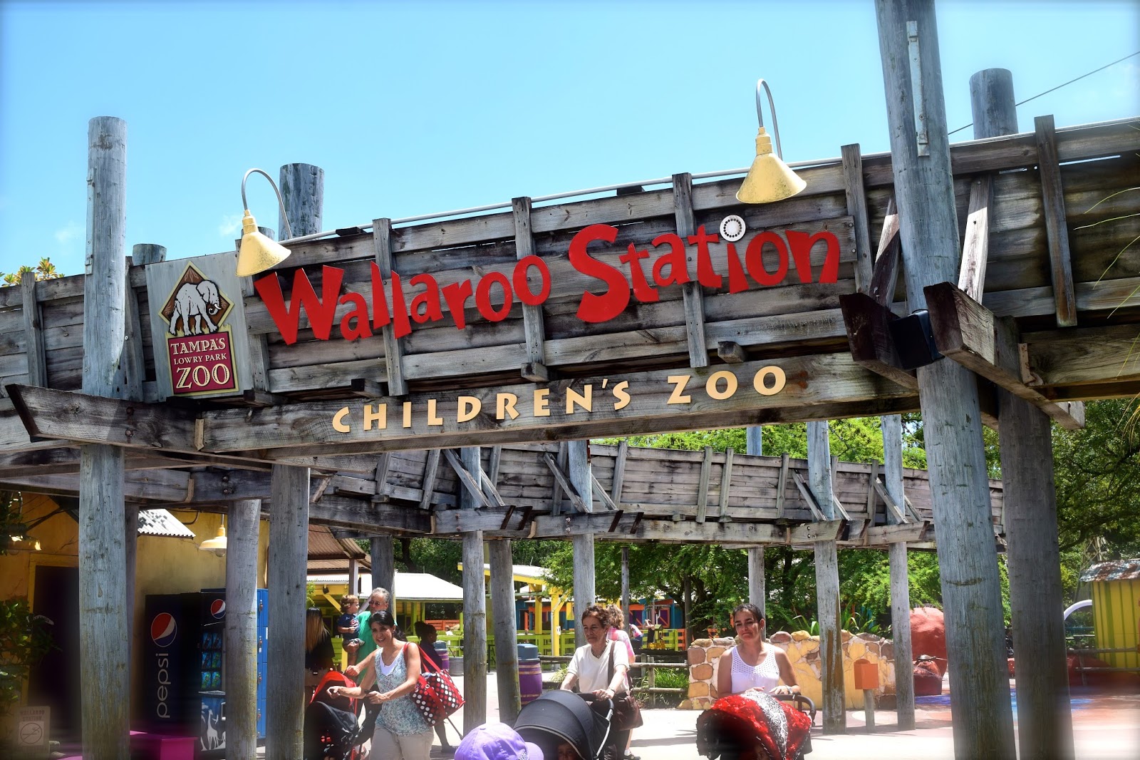 WallaRoo Station Lowry Park Zoo Review Momma4Life