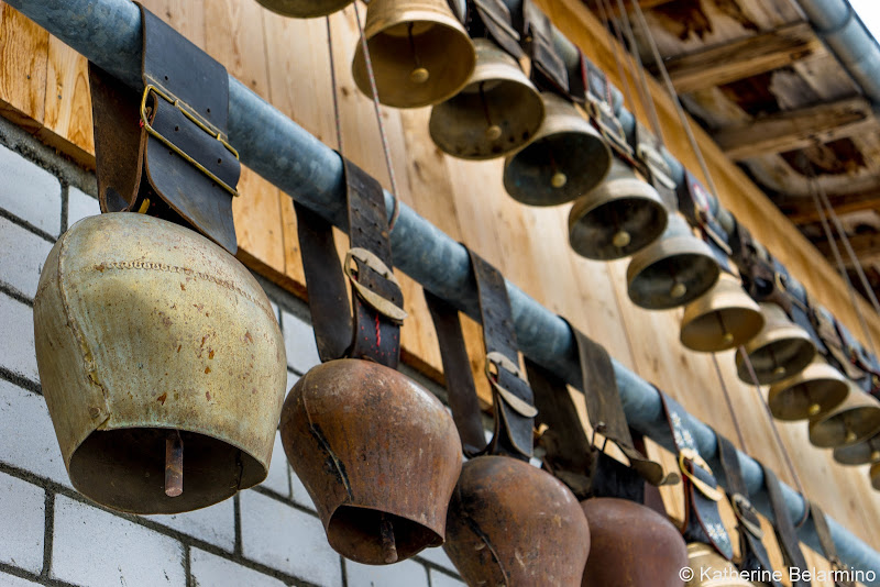 Gimmelwald Cowbells Four Days in Interlaken and the Swiss Alps