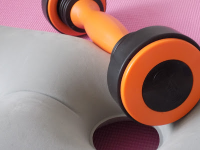 Shake Weight Roll My Experience