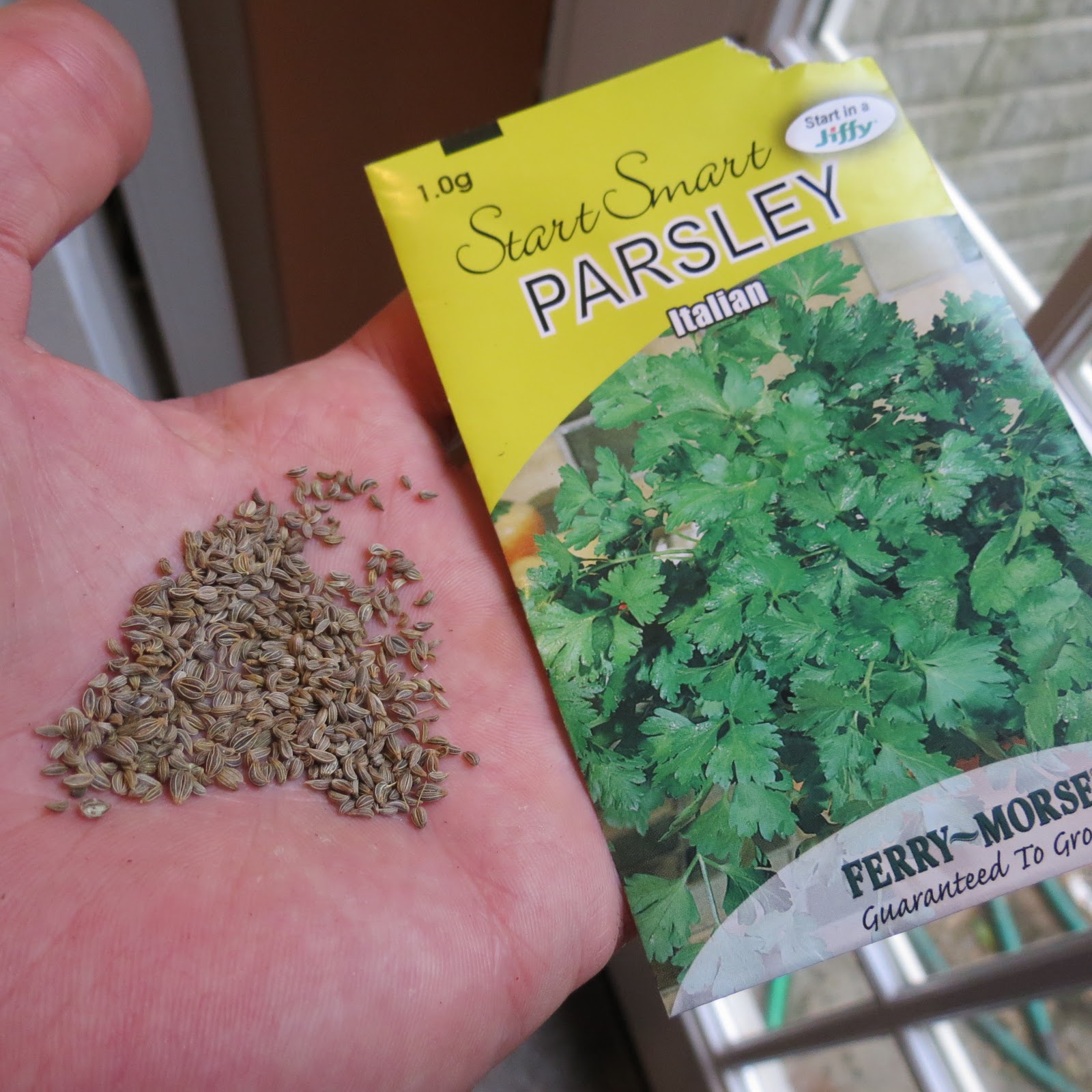 The Rusted Vegetable Garden