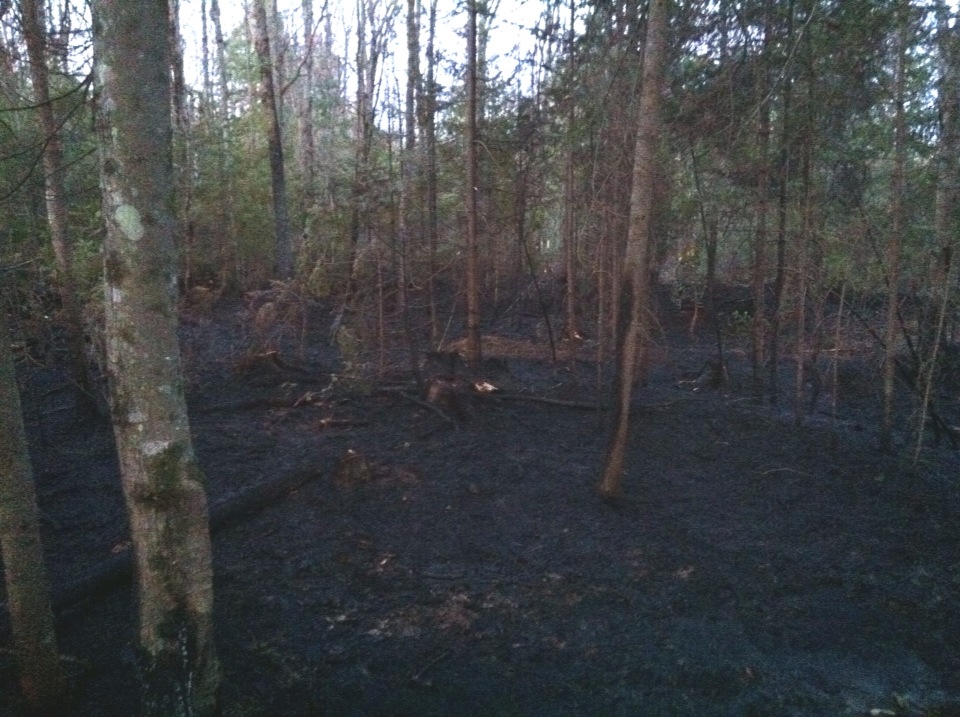 Urgence911 BeaulacGarthby Feu de forêt chemin Murphy