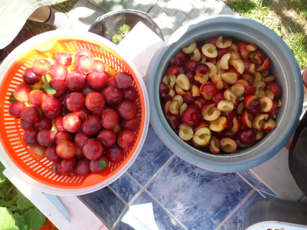Annie's Journal Homemade plum vinegar