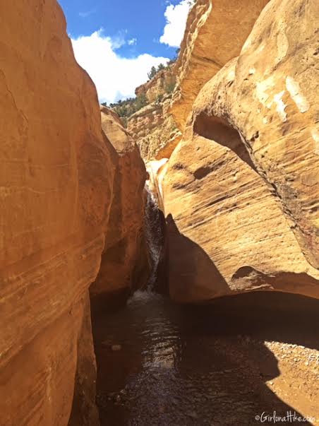 Willis creek slot canyon trailhead kanab ut