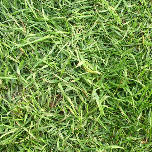 APUNTES - REVISTA DIGITAL DE ARQUITECTURA: Texturas Naturales 10