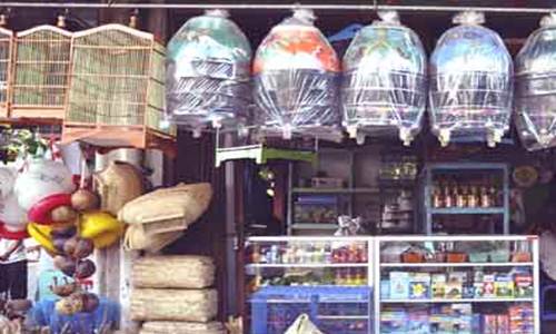 daftar harga pakan burung kicau terbaru berkualitas daftar harga pakan burung kicau terbaru berkualitas