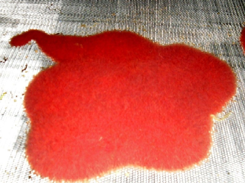 ini dia makanan ikan cupang agar cepat besar ini dia makanan ikan cupang agar cepat besar