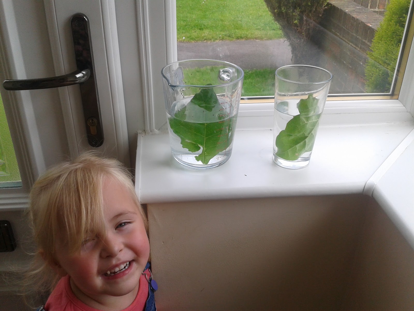 Amazing Little Minds Oxygen experiment