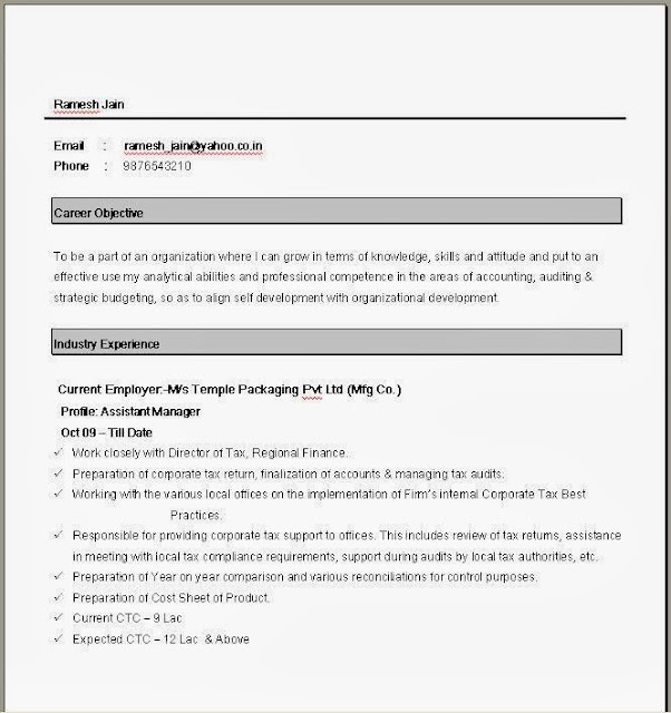 Simple Resume Format in Word