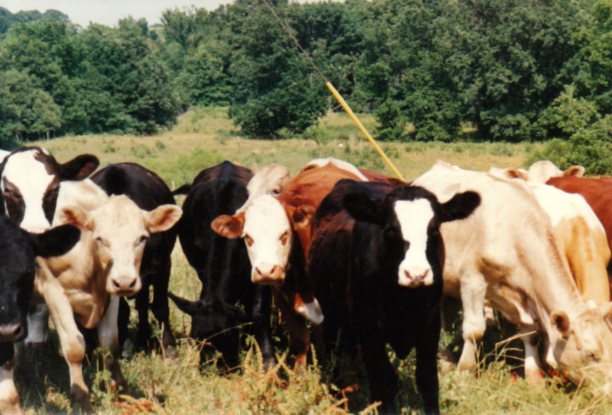 1992 There and Back Again 30 June6 July 1992 Milan, Missouri