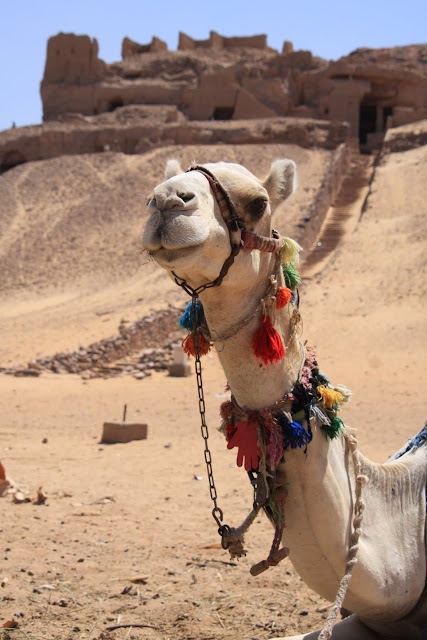 VISITAR O ASSUÃO, e apanhara uma lufada de ar fresco depois do deserto | Egipto