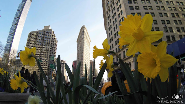 My Travel Background : Une semaine à New York - Flatiron Building