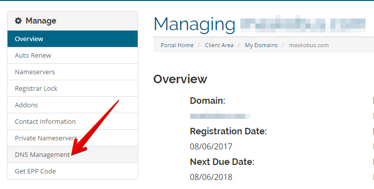 penggantian DNS Management domain penggantian DNS Management domain