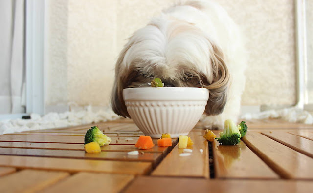 Alimentação Caseira para shih tzu