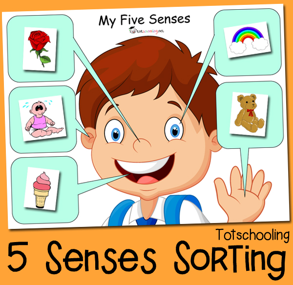 FREE printable Five Senses sorting activity for toddlers and preschoolers.