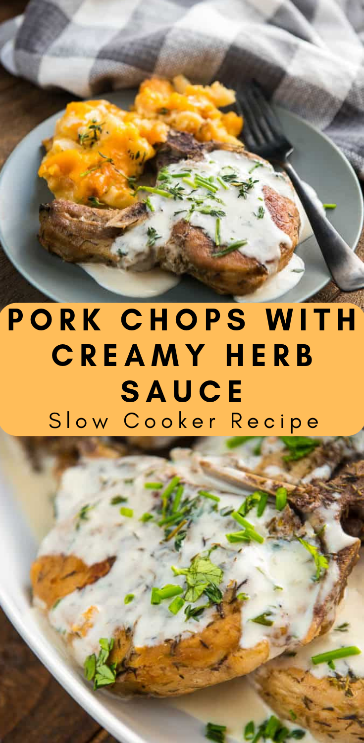 Slow Cooker Pork Chops With Creamy Herb Sauce Trending Recipes