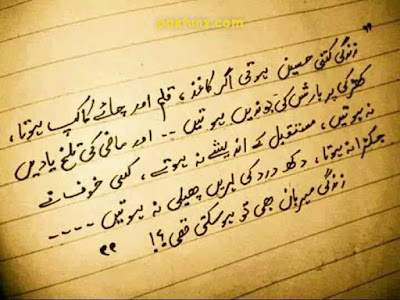 Dear Diary Images | urdu quotes and status pics Dear Diary Images | Beautiful True Quotes - Thoughts About Life 8