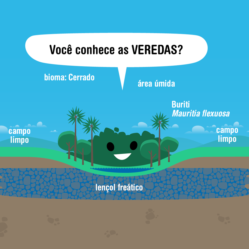 BIBOCA AMBIENTAL SALVEM AS VEREDAS