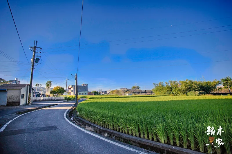 苗栗公館落羽松IG私房景點|和風民宿~秋天才有的絕美景色&民宿環境