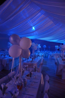 PartyPerfect Catering and Events: Mega 21st Birthday Party