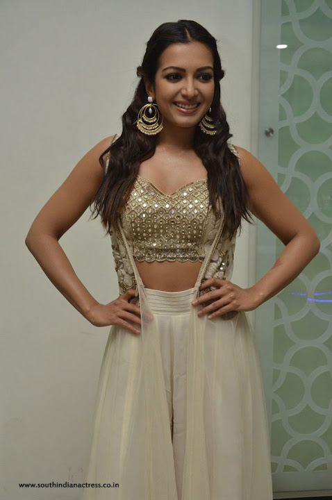 Catherine Tresa at Gautham Nanda success meet